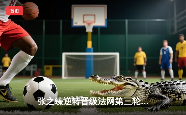 张之臻逆转晋级法网第三轮创历史 中国男网迎红土新突破